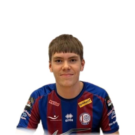 Róbert Hauksson